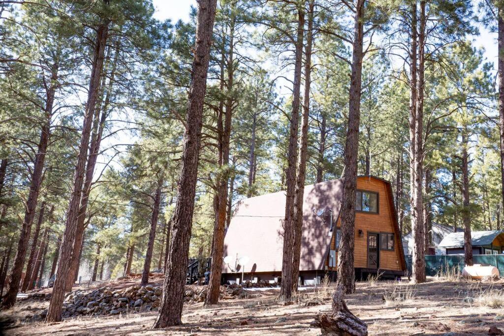Grand Canyon Cabin! One Hour And 10 Minutes To The South Entrance! Williams Kültér fotó