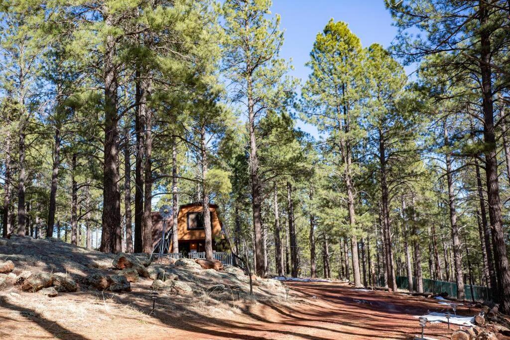 Grand Canyon Cabin! One Hour And 10 Minutes To The South Entrance! Williams Kültér fotó