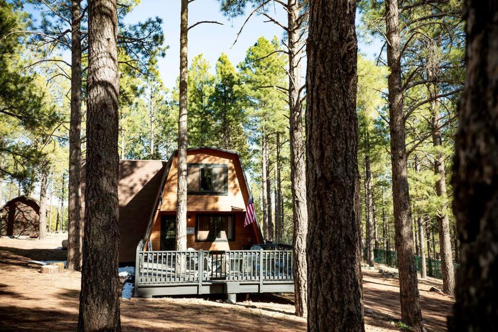 Grand Canyon Cabin! One Hour And 10 Minutes To The South Entrance! Williams Kültér fotó