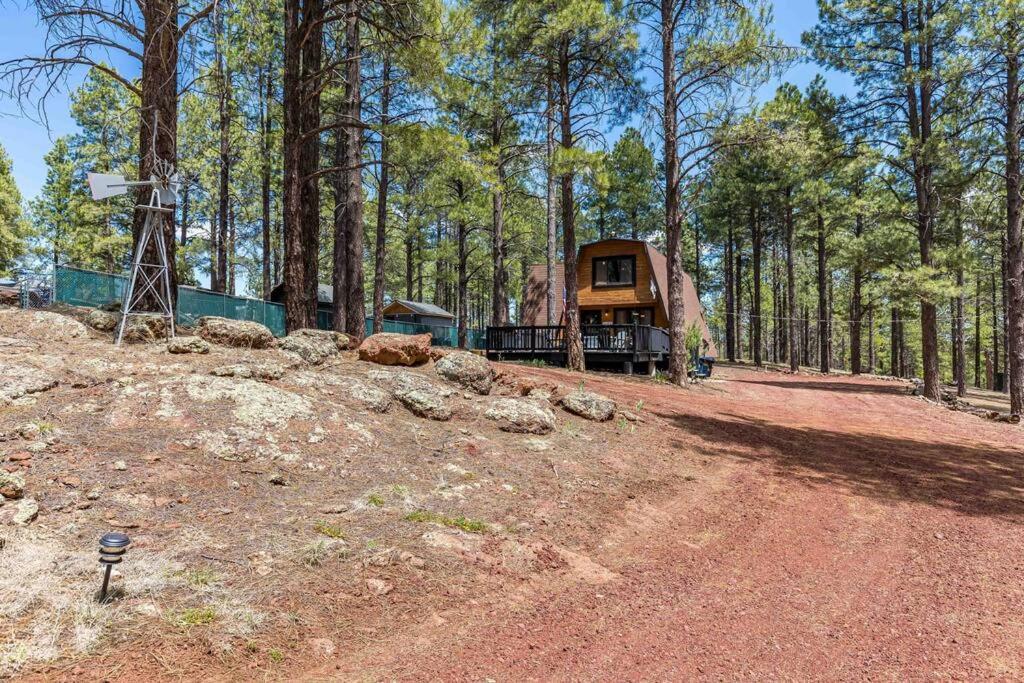 Grand Canyon Cabin! One Hour And 10 Minutes To The South Entrance! Williams Kültér fotó