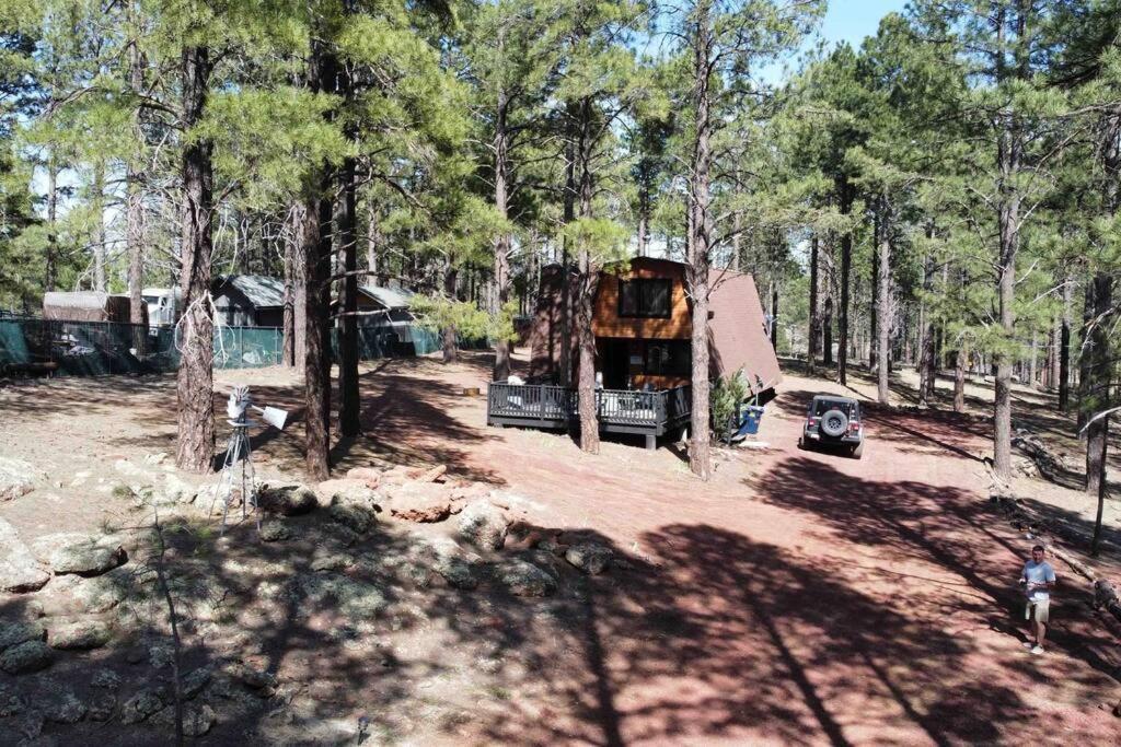 Grand Canyon Cabin! One Hour And 10 Minutes To The South Entrance! Williams Kültér fotó